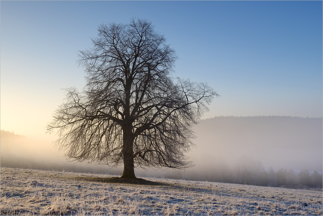 Solitér