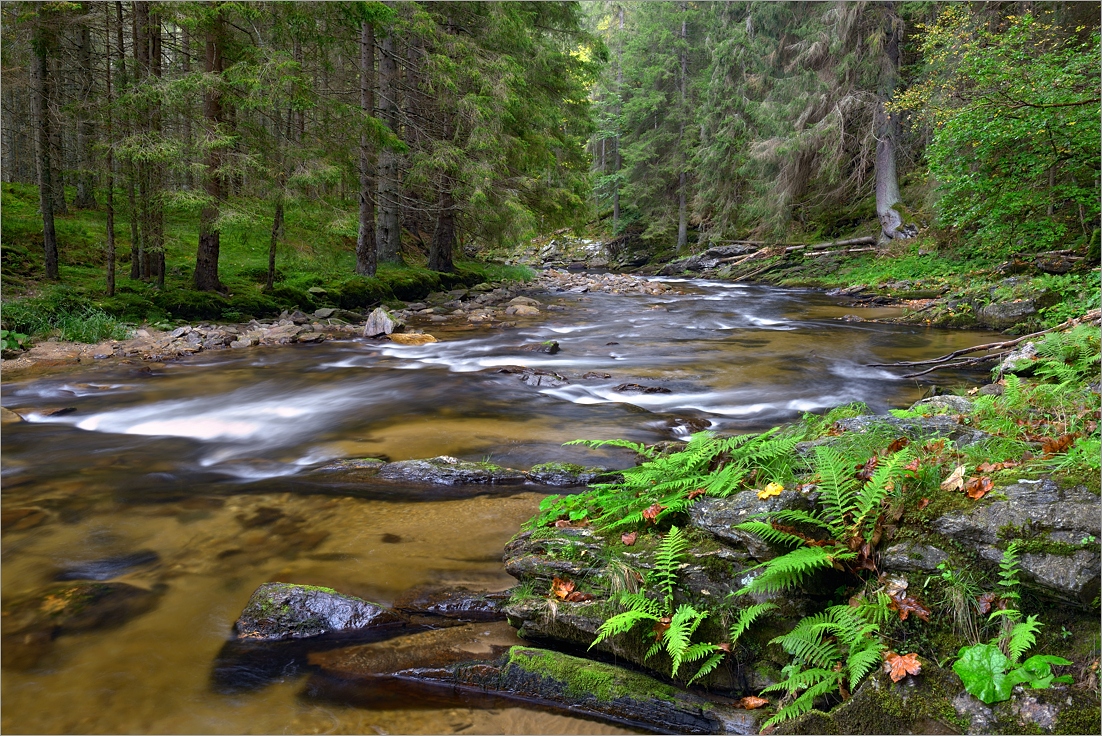 Křemelná