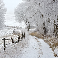 Ladovská zima